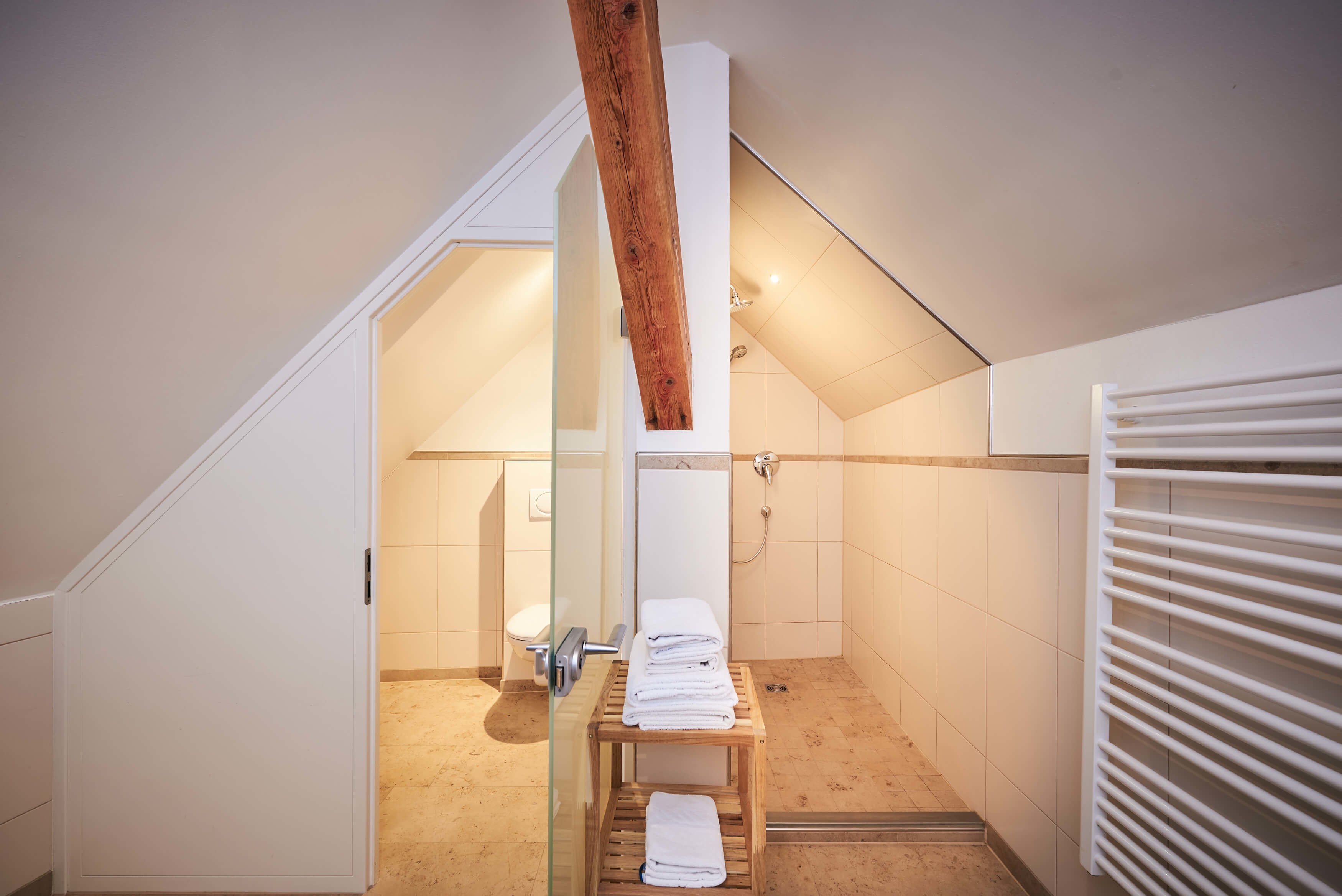 Badezimmer mit Dusche und Toilette - Appartment