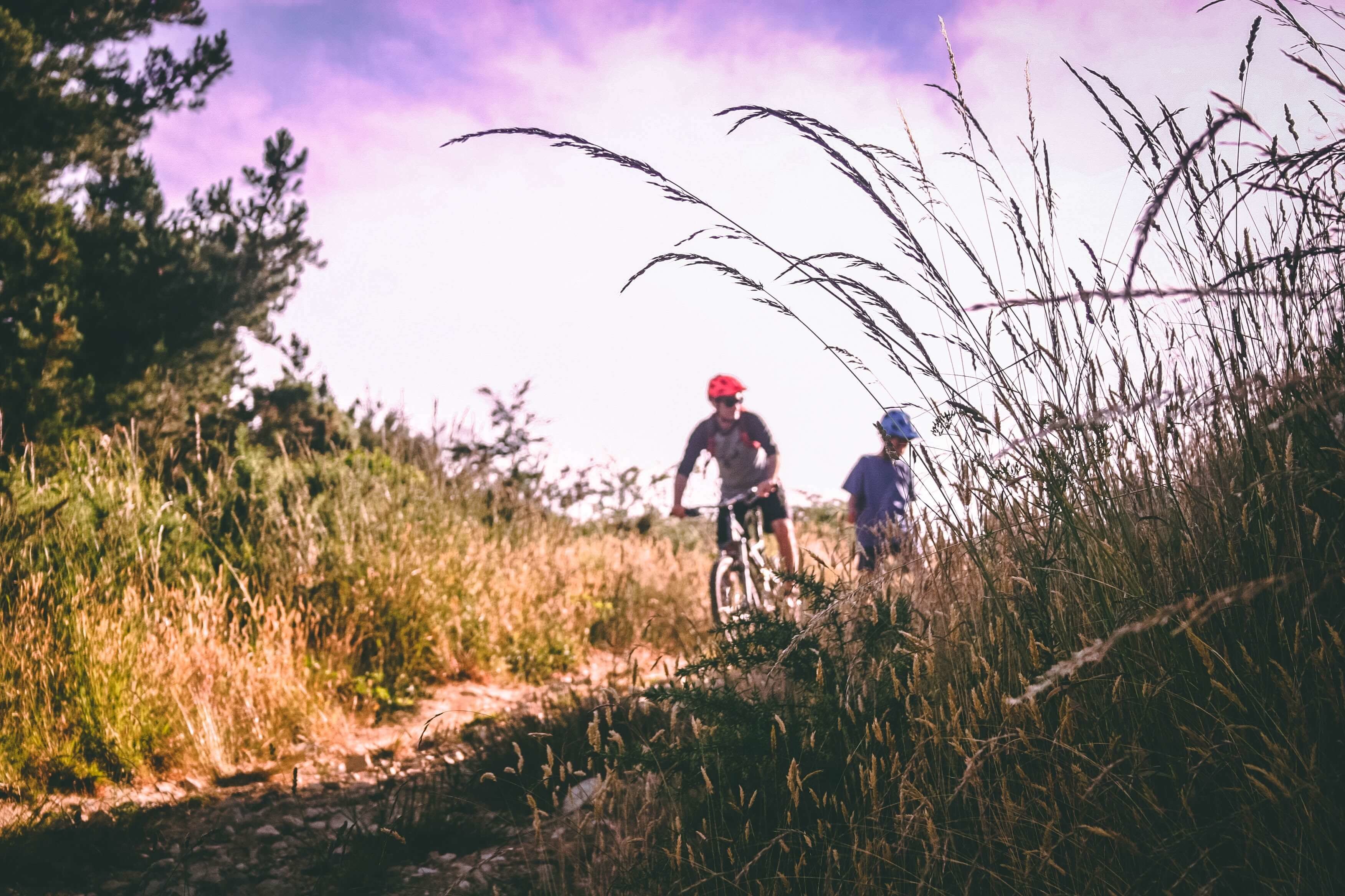 Fahrradfahrer auf Fahrradweg mit Wiese