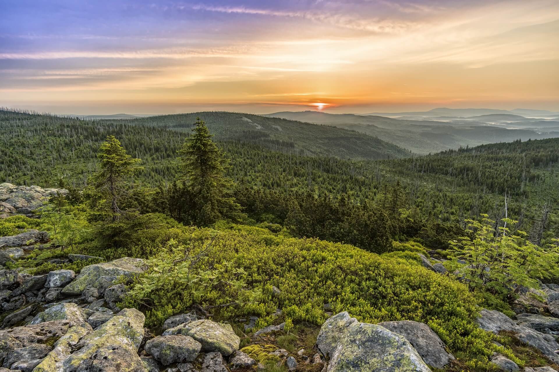 Lusen Bayerischer Wald