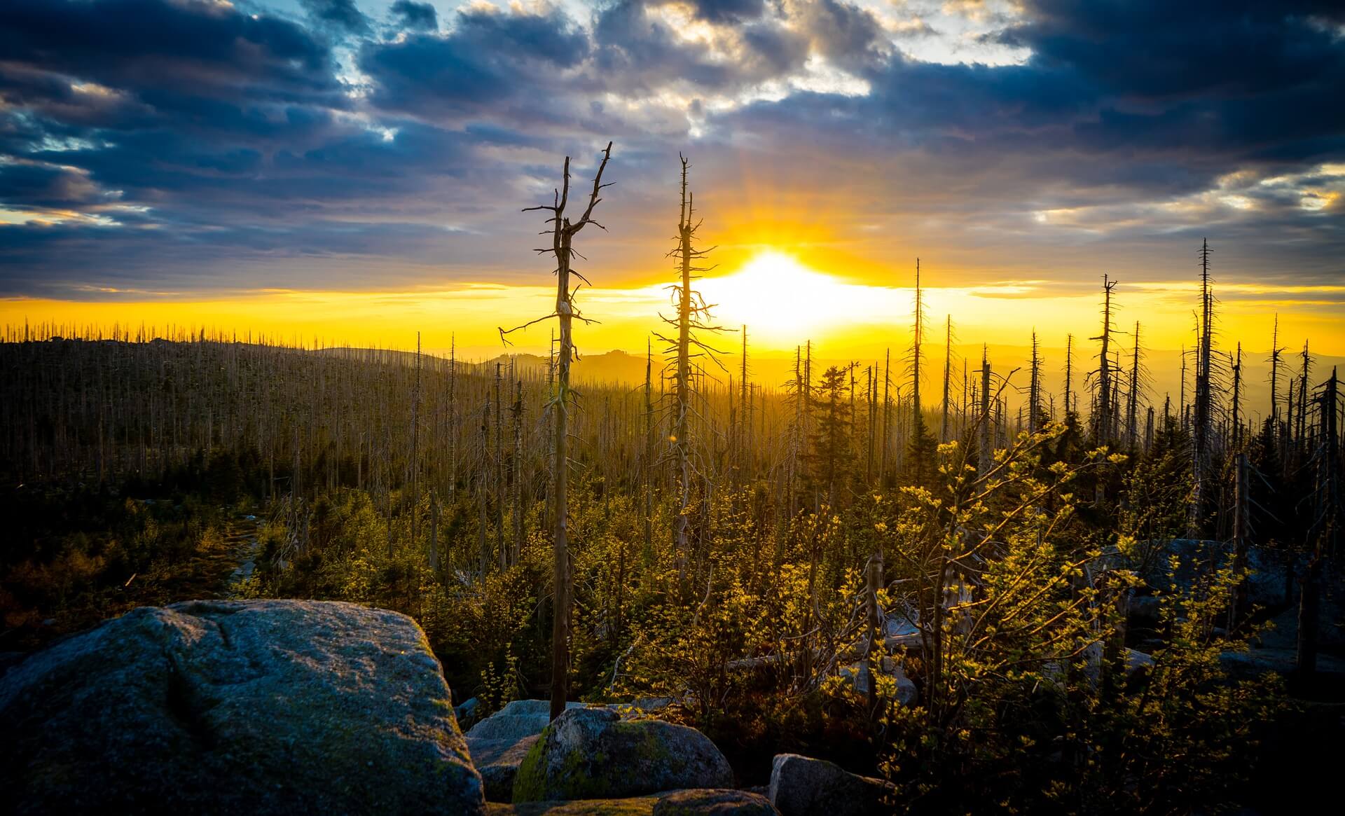 Sonnenuntergang Nationalpark Sumava
